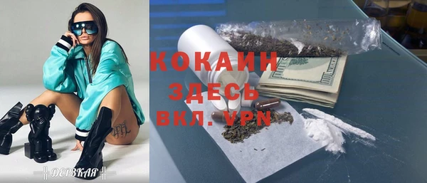 индика Алексин