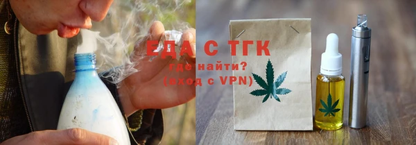 индика Алексин