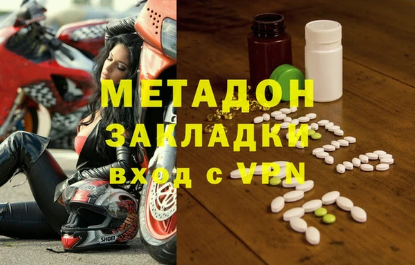 индика Алексин