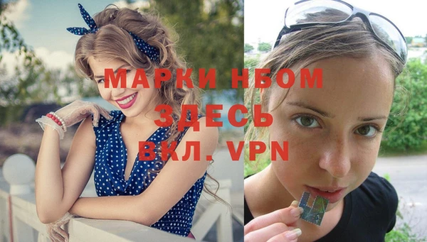 индика Алексин