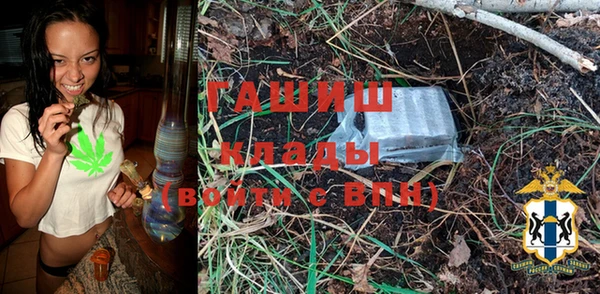 индика Алексин