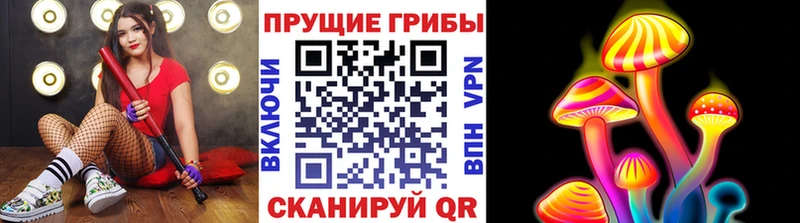 Галлюциногенные грибы Cubensis  Купить закладки  Коломна 